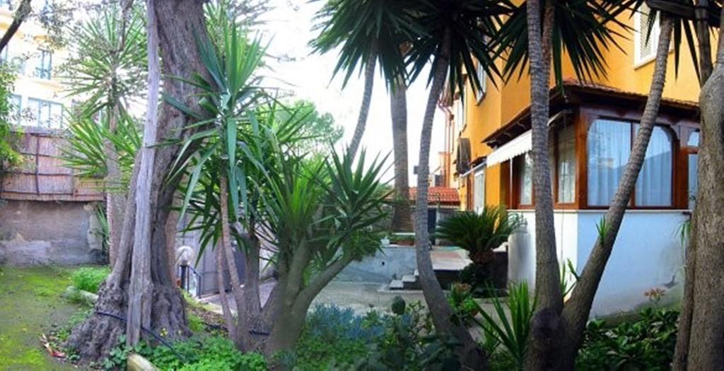 Villa Orchidea Sorrento Oda fotoğraf